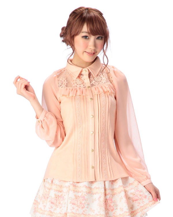 日本のリザ-シルクシフォンシャツ,長袖,刺knitted,レ - Embroidery Organza のレビューと価格